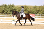 SBM_015013