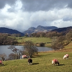 langdale cumbria