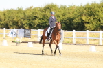 SBM_016495