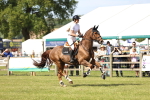 SBM_09038