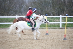 SBM_003811