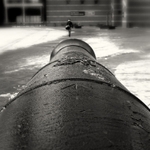 Gun Barrel Gun Barrel Royal Armouries Museum in Leeds