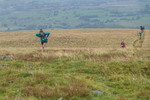 Fellside-386