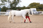 SBM_14190