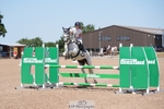 Cls 3 Medium Pony Team portfolio