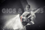 Pigsx7-38