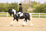 SBM_007488