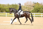SBM_008367