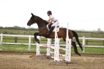 SBM_002011