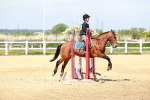 SBM_007778