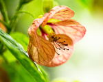 20140525-3K8A1613