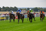 290826-Race 1-Trilby-5245