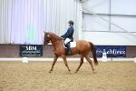 SBM_004965