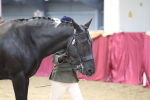 SBM_06515