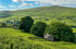 Yorkshire1