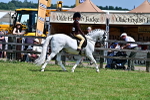 SBM_15307