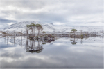 Loch Awe Reflections