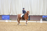 SBM_020702