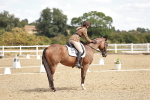 SBM_009812