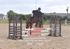 BPP_2869
