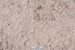 250525-100840-09061