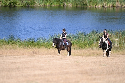 WJ6_8170