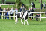 SBM_51832