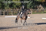 BPP_8024