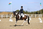 SBM_013235