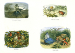 In Fairyland 18