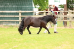 SBM_03542