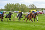 110526-Race 4-Irish Dancer-0845