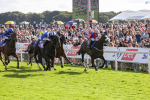 240824-Race 5-Elmonjed-9171