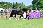 SBM_10146