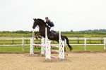 SBM_000931