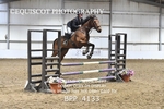 BPP_4133