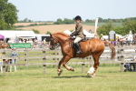 SBM_06950
