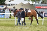 BPP_0660