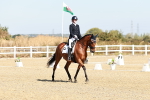 SBM_016991