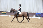 SBM_006029