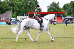 SBM_02597
