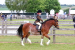 SBM_08547