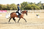 SBM_016947