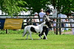 SBM_03412