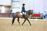 SBM_002242