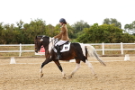 SBM_006746