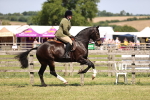 SBM_17845