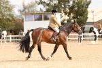 SBM_15564
