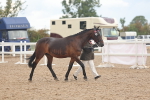 SBM_07861