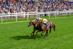 190826-Race 4-Item-0485
